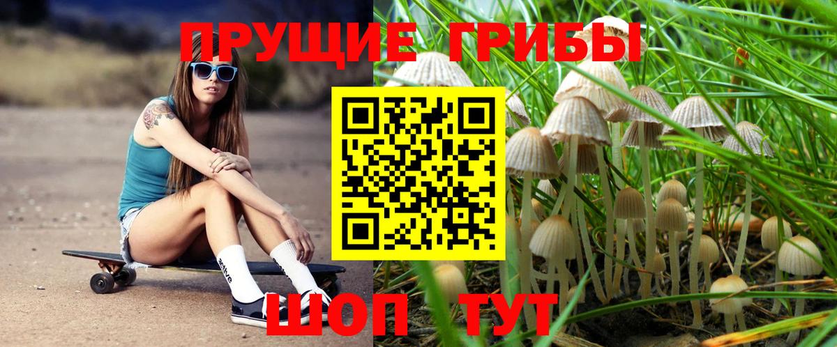 Псилоцибиновые грибы Cubensis Донецк